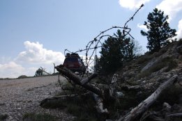 DSC1 (156).jpg